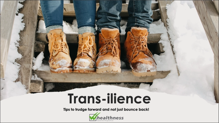 Trans-ilience TIPS MANUAL cover